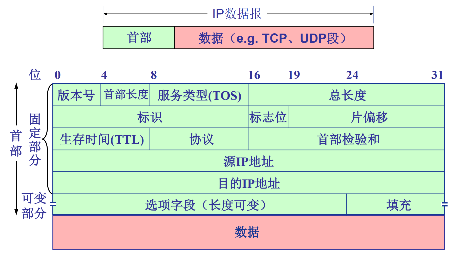 IPv4 数据报格式